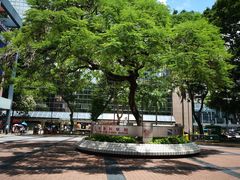 -香港科学馆