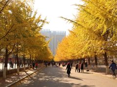 -辽宁大学(崇山校区)