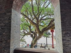 -江心屿景区
