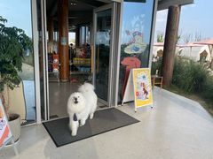 -omitofee咖啡(水泽店)