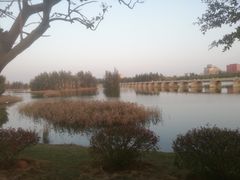 -五里桥文化公园-西侧停车场