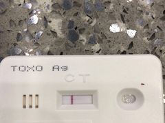 -爱侣宠医·鹦鹉专科·小型哺乳类·异宠专科(灵石路店)