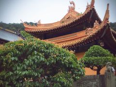 -普陀山风景名胜区-法雨禅寺