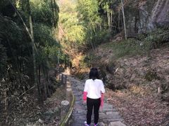 -藏龙百瀑风景区