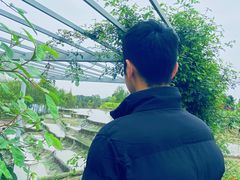 -都江堰玫瑰花溪谷