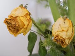 -杭州平安悦坊 PAFC LIVING