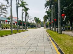 -厦门大学(思明校区)