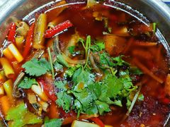 -高坎一品甲鱼庄(两河店)