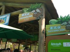 -苏州乐园森林水世界