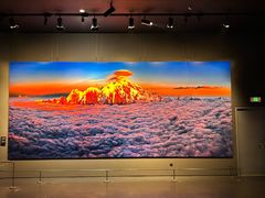 -罗红摄影艺术馆