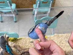 -怪兽屋·羊驼·猫咖·狗咖(俊华广场店)