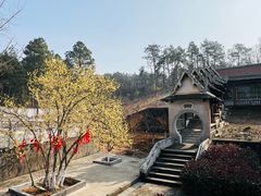 -报恩禅寺