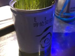 -很久以前羊肉串(大华三路店)