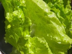 -九田家黑牛烤肉料理(华侨城店)