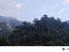 -泰山风景名胜区