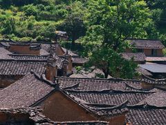 -杨家堂村