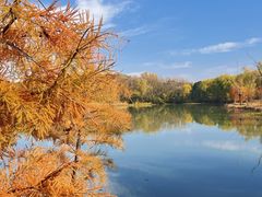 -昆山城市生态森林公园