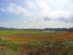 -光明小镇欢乐田园