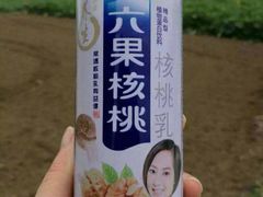 六果核桃-湿地轩