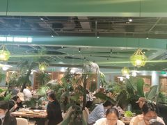 -春润大地海南椰子鸡(沙井京基百纳广场店)