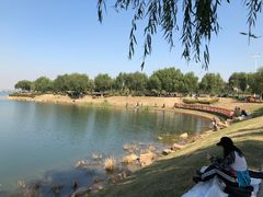 -丁香湖公园