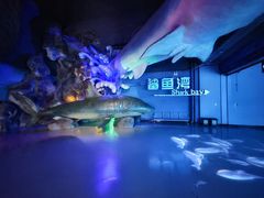 -泉城欧乐堡海洋极地世界