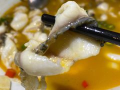 -青花椒花椒鱼(合生汇店)