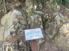 -羚羊峡古栈道森林公园