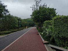-南宁南湖公园