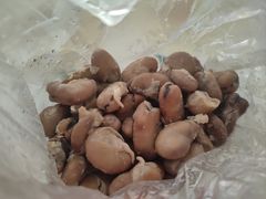 -洪湖里王姐大乌豆