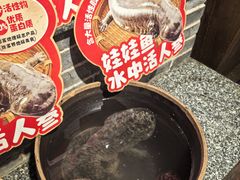 -印象鲵宴·张家界地标美食名片(溪布街店)