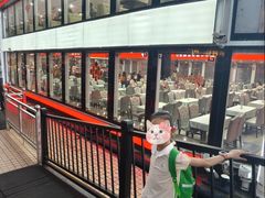 -珠江夜游省总码头