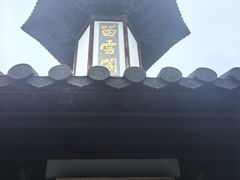 -上海佘山国家森林公园天马山园