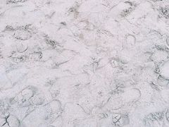 -海云台海滩