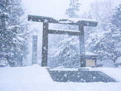 -北海道神宫