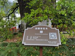 -新安江山水画廊风景区
