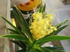 -蜀大侠火锅(香格里拉店)