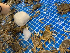 -半岛听涛蒸汽海鲜自助(K11店)