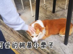 -小梁哥云吞面(黄贝岭店)