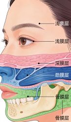 -克丽缇娜