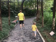 -荆川公园