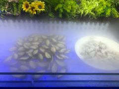 -巴犀烧烤(新崇光店)