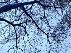 -兰亭风景区