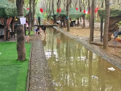 -草根堂农场