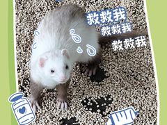 -海合安武汉极地海洋公园
