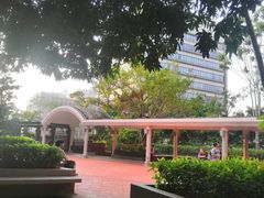 -香港大学