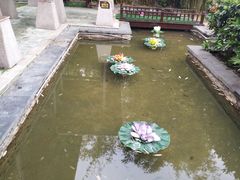 -咸宁万豪温泉谷度假区