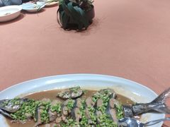 -船歌·鱼水饺青岛菜(闽江二路店)