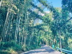 -蜀南竹海景区