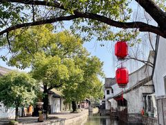 -鲁镇